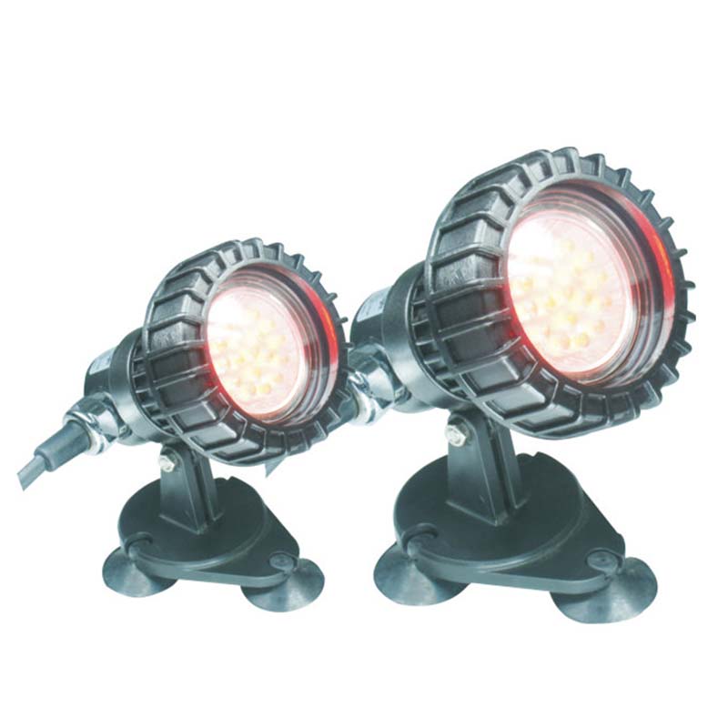 ရေကန်အောက်ရှိ ငါးများ ရေငုပ်နိုင်သောအလင်းရောင်