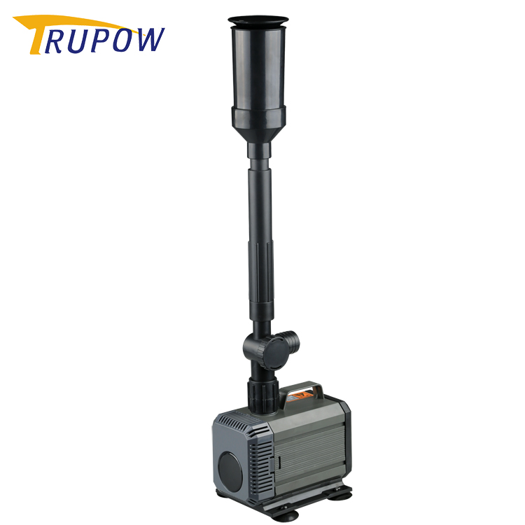 အိမ်တွင်းဥယျာဉ်တွင် ရေပန်းပန့်ကို အသုံးပြုပါ။